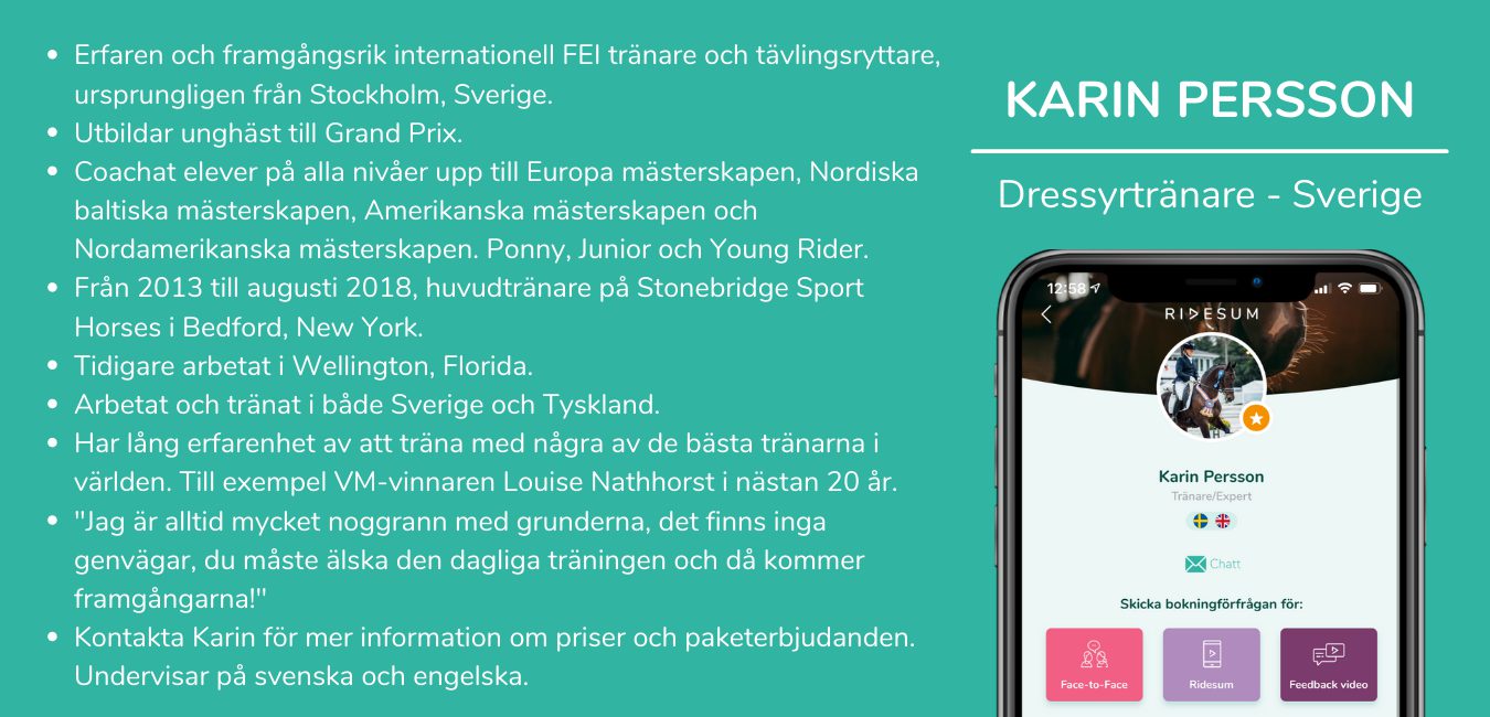 Karin Persson info